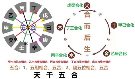 己土乙木|十干精粹——乙木（四）